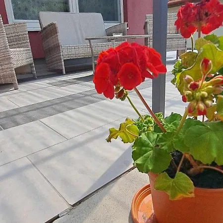 Apartmán Venezia *